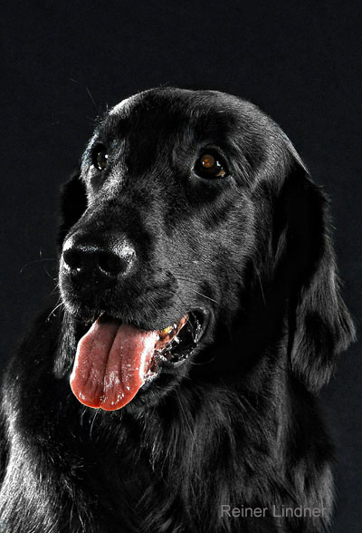 Caitlin im Dezember 2008, von Reiner Lindner